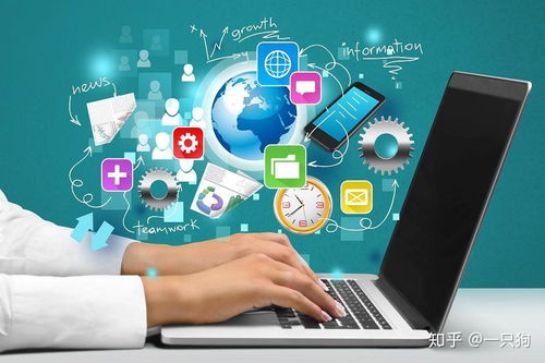 信息技术咨询 弥合医疗行业数字化发展中的龃龉