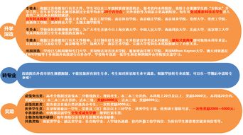 常州信息职业技术学院招生指南与信息技术咨询